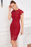 Rotes Bodycon-Spitzenkleid